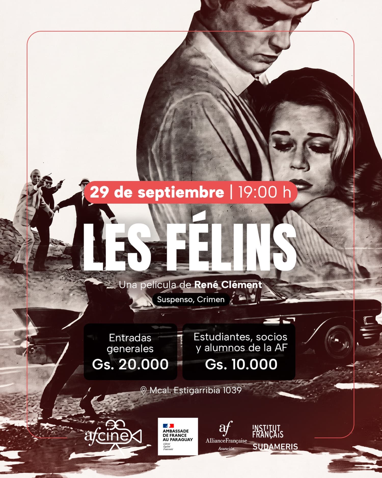 Imagen de Les Félins